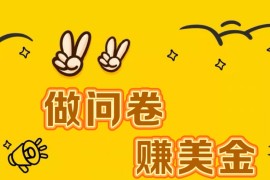国外问卷调查小白家也可批量操作（口子查站点查渠道查）真正的长久稳定项目 日入1500+
