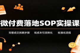 微付费落地SOP实操课：完整成交拆解步骤，低成本引流转化标准化流程