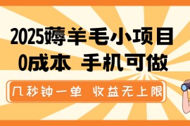 2025薅羊毛小项目，0成本 手机可做，几秒钟一单，收益无上限