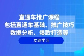 直通车推广课程：包括直通车基础、推广技巧、数据分析、爆款打造等