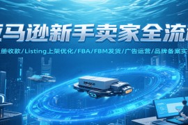 亚马逊新手卖家全流程，注册收款/Listing上架优化/ FBA/FBM发货/广告运营/品牌备案