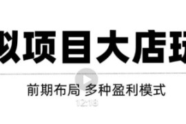 虚拟项目月入几万大店玩法分享，多店操作利润倍增（快速起店盈利）
