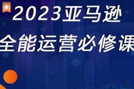 2023亚马逊全能运营必修课，全面认识亚马逊平台