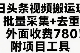 今日头条视频搬运玩法，软件一键去重，轻松日入500+附项目工具