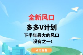全新风口，多多V计划，下半年最大的风口，没有之一！