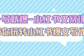 一写就爆-小红书文案课：带你玩转小红收爆文写作（43节课）