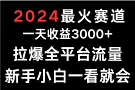 2024最火赛道，一天收一3000+.拉爆全平台流量，新手小白一看就会