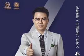 郑翔洲新商业模式全集价值12980