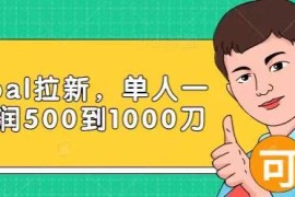国外网砖项目：paypal拉新，10分钟5美刀，赶快通宵干【视频课程】