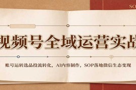 2026视频号全域运营全攻略：账号搭建选品投流转化 AI内容制作 SOP落地微信生态变现