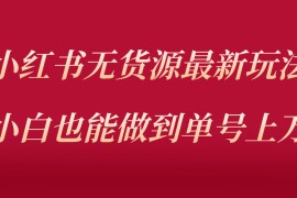 小红书无货源最新螺旋起号玩法，电商小白也能做到单号上万