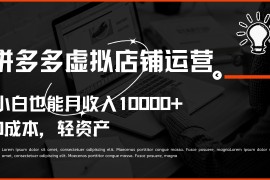 多多虚拟项目运营，0成本轻资产，小白也能月收入10000+