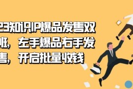 2023知识IP-爆品发售双阶班，左手爆品右手发售，开启批量收钱