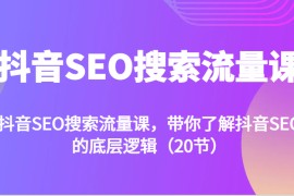 抖音SEO搜索流量课，带你了解抖音SEO的底层逻辑（20节）