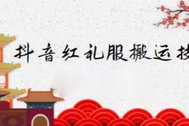 外面收大几百元的抖音红礼服搬运技术，最近很火的搬运方法