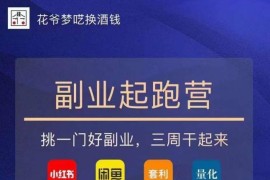 副业起跑营第2期，挑一门好副业，三周干起来（闲鱼｜小红书｜量化｜套利）