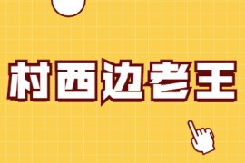 村西边老王电子书合集