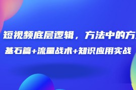 视频底层逻辑，方法中的方法，基石篇+流量战术+知识应用实战（价值389元）