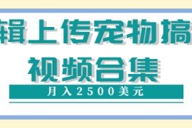 编辑上传宠物搞笑视频合集，就可以通过YouTube赚钱月入2500美元