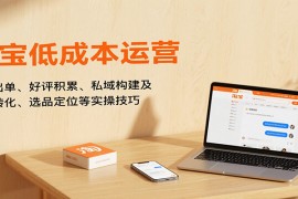 淘宝低成本运营，新店出单、好评积累、私域构建及流量转化、选品定位等（更新9月）