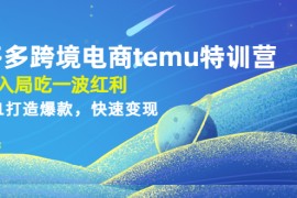 拼多多跨境电商temu特训营：先入局吃一波红利，从0到1打造爆款，快速变现 