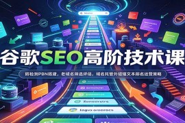 谷歌SEO高阶实战课：防检测PBN搭建全流程 老域名筛选评估与排名运营策略