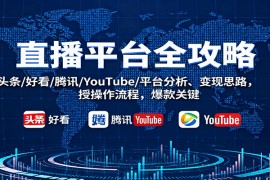 直播平台全攻略：头条/好看/腾讯/YouTube/平台分析、变现思路，授操作流程，爆款关键