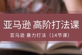亚马逊高阶打法课，亚马逊暴力打法（14节视频课）