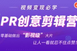 抖音赚钱必学的PR创意剪辑：零基础做出“影视级”大片，让人一看就忍不住为你点赞