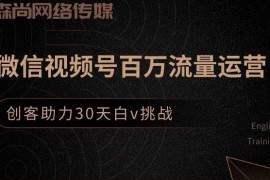 创客江湖录微信视频号百万流量运营，创客助力30天白V挑战售价399元