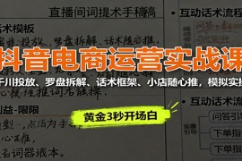 抖音电商运营实战课：千川投放、罗盘拆解、话术框架、小店随心推，模拟实操