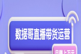 数据哥直播带货运营线上进阶课，让普通人也能靠直播月赚上万元