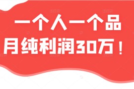 某公众号付费文章：一个人一个品月纯利润30万的蓝海电商经典案例！