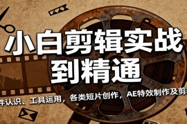 小白剪辑实战到精通，含软件认识、工具运用，各类短片创作，AE特效制作及剪辑技巧