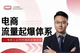 电商流量起爆体系-必学的爆款起爆逻辑，人人都能成为爆款运营高手！
