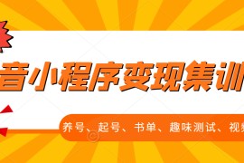 抖音小程序变现集训课，养号、起号、书单、趣味测试、视频剪辑，全套流程