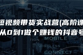 短视频带货实战营(高阶课)，从0到1做个赚钱的抖音号（17节课）