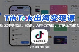 TikTok出海变现课：多地区环境搭建、壁纸、AI 手办项目、剪映全功能教学