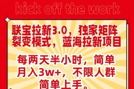 联宝蓝海拉新3.0，独家矩阵裂变模式，每两天半小时，简单月入3w+，不限人群简单上手
