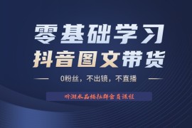 不出镜 不直播 图片剪辑日入1000+2023后半年风口项目抖音图文带货掘金计划