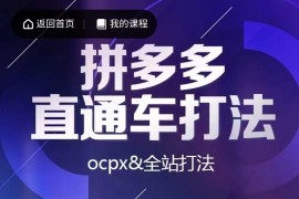 拼多多直通车打法，核心策略全站打法