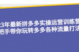 最新拼多多实操运营训练营：手把手带你玩转多多各种流量打法