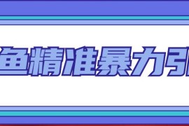 闲鱼精准暴力引流全系列课程，每天被动精准引流200+客源技术（8节视频课）