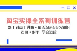 淘宝实战宝典+淘系全系列进阶，初级到进阶，覆盖淘系99%的知识，看透对手自然会运营 