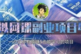黄岛主虚拟网课副业项目4.0