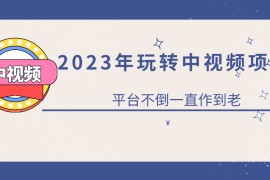 零基础玩转中视频项目：平台不倒，一直做到老