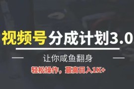24年视频号冷门蓝海赛道，操作简单，单号收益可达四位数