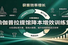 瑜伽普拉提馆AI降本增效训练营：私域文案智能生成+AI销售落地，提升获客转化效率