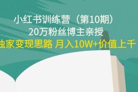  小红书训练营（第10期）20万粉丝博主亲授：独家变现思路 月入10W+价值上千
