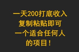 一天200打底收入，复制粘贴即可，一个适合任何人的项目！
